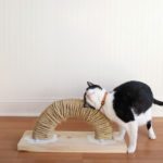 Rainbow DIY Cat Scratch Pad